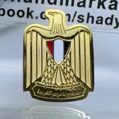 Eagle suit pin in the shape of the Egyptian flag